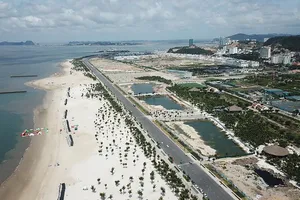 Phải đánh thuế cao đầu cơ găm giữ nhà đất 