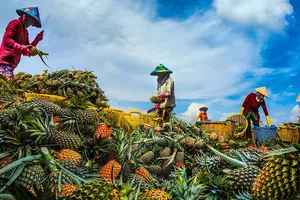 Hậu Giang sát cánh, đồng hành cùng nhà đầu tư 