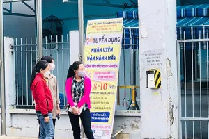 Khát lao động, tìm đỏ mắt vẫn không đủ 