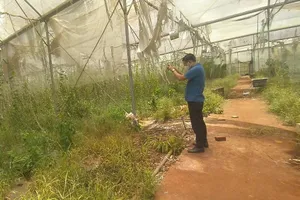 Đồng Nai: Hoang phí khu công nghệ sinh học hàng trăm tỉ 