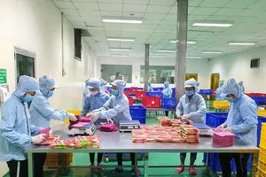 Doanh nghiệp Việt tìm cách chinh phục thị trường Mỹ 