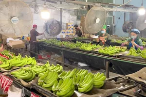 Trái cây Việt trước cơ hội vào thị trường tỉ dân 