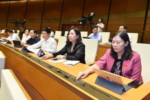 Bộ được lập thanh tra tổng cục, tỉnh được lập thanh tra sở 