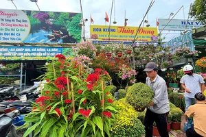 Hoa mới, hoa lạ thống lĩnh thị trường tết 