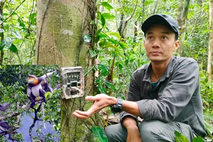 “Thạc sĩ voọc” Ái Tâm hơn 16 năm gắn bó với rừng 