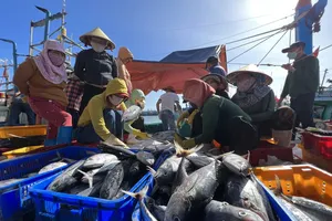 Việt Nam xử lý nghiêm những vi phạm về IUU 