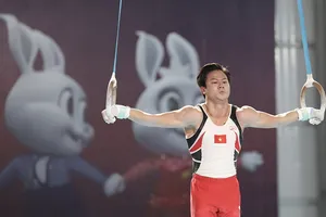 Thể dục dụng cụ nam lĩnh ấn