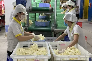  Doanh nghiệp Việt vẫn dè dặt trong kinh doanh