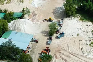 Điều tra: 'Công trường sa tặc' trong rừng ở Bình Thuận - Bài 1: Xe ồ ạt chở hàng ngàn khối cát về bãi xuyên Tết