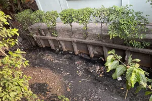 TP.HCM: Dân 2 phường cùng khổ vì con rạch ô nhiễm