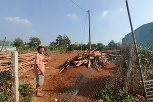 Gia Lai lý giải việc nhiều hồ sơ xin cấp sổ hồng bị ách tắc