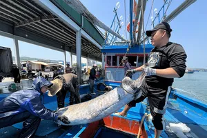 Quảng Ngãi quyết tâm chống khai thác IUU, cùng gỡ thẻ vàng cho hải sản Việt