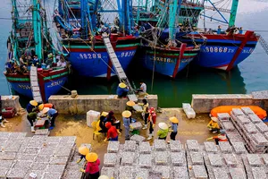 Ngư dân Nghệ An làm giàu từ biển