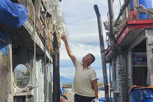 Ngư dân Huế quyết bám biển làm giàu