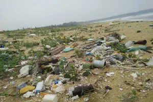 Dầu vón cục ở bờ biển: Quảng Nam cầu cứu Bộ TN&MT