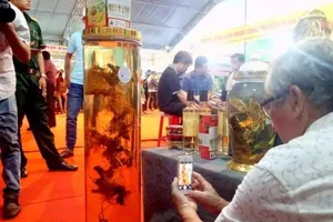 Lễ hội tràn ngập sâm củ Ngọc Linh giá 'khủng'