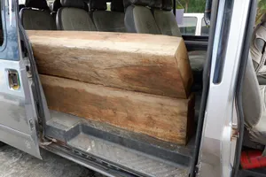 Cảnh sát phục kích, bắt xe chở gỗ lậu trong đêm