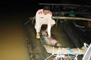 Một người nhảy xuống sông khi thấy cảnh sát