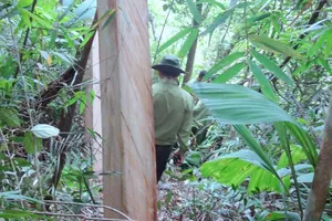 Nguyên Phó đồn Biên phòng cửa khẩu Nam Giang bị bắt