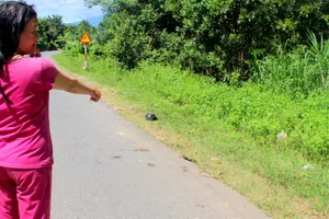 2 xe máy tông nhau, 3 người tử vong tại chỗ 