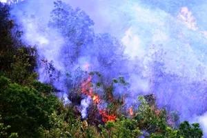 Cháy 20 ha rừng nguyên sinh ở Quảng Nam