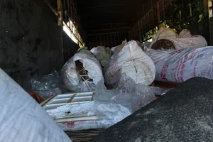 Xe tải chở 100 bao tóp mỡ thối