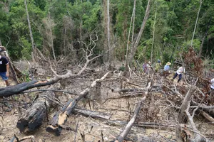 Thêm 2 cán bộ BQL rừng phòng hộ Sông Tranh bị bắt