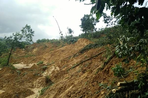 Tìm thấy thi thể thứ 3 trong vụ sạt lở ở Phước Sơn
