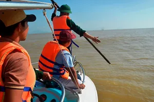 Luồng biển Cửa Đại bị bồi lấp nghiêm trọng 