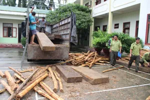 Thấy kiểm lâm, tài xế chở gỗ lậu tăng ga chạy vào rừng