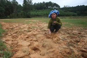 Dân dựng lều phản ánh vì đất sản xuất bị bồi lấp