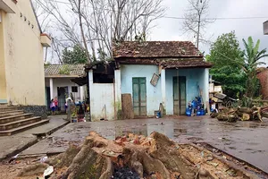 Cây đổ trong trường, 1 người tử vong