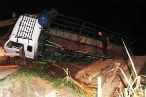 Xe tải không biển số chở gỗ lật xuống ruộng