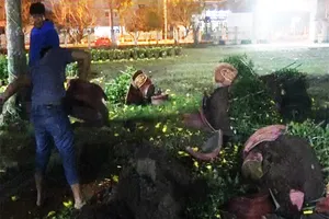 Người bán đập chậu hoa trong đêm giao thừa