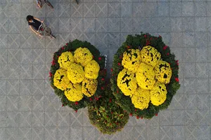 Quảng trường hoa tuyệt đẹp nhìn từ trên cao