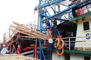 Ngư dân Quảng Nam hăng hái vươn khơi ngày đầu năm