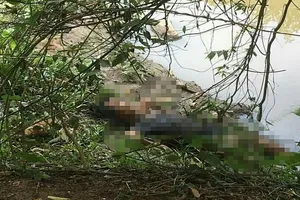 Phát hiện thi thể người đàn ông bên suối