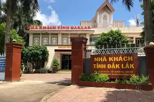 Nữ trưởng phòng mượn bằng chị gái nhận sai, xin nghỉ việc