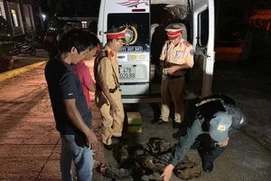 Xe khách chở hàng loạt chồn hương đã bị giết thịt