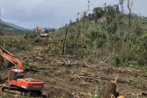 Khởi tố vụ phá rừng bằng máy múc ở Lâm Đồng