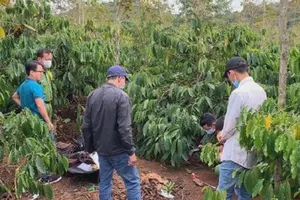 Cô gái 22 tuổi bị sát hại trong rẫy cà phê