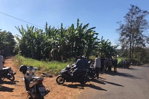 Phát hiện thi thể thanh niên trong rẫy cà phê