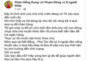 Bác tin bán dưa không được nên uống thuốc tự tử