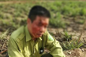 Lâm tặc tấn công kiểm lâm bằng dao, gậy khi bị truy đuổi