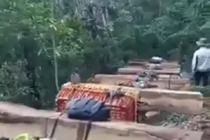 Mật phục bắt đoàn xe máy chở gỗ ra khỏi rừng