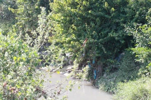 Phát hiện 1 thi thể nữ bên suối cạn