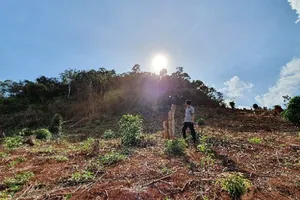 Nhận hối lộ 3 triệu, phó giám đốc hợp tác xã ở Đắk Nông bị bắt