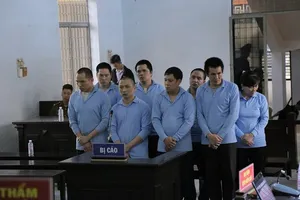 8 người thương vong vì tranh chấp đất rừng