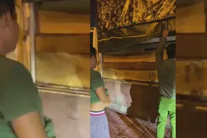 Tài xế không bằng lái chở gỗ ‘lậu’ vào TP.HCM