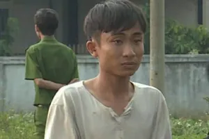 Dắt bò người khác đem đi bán thì bị bắt